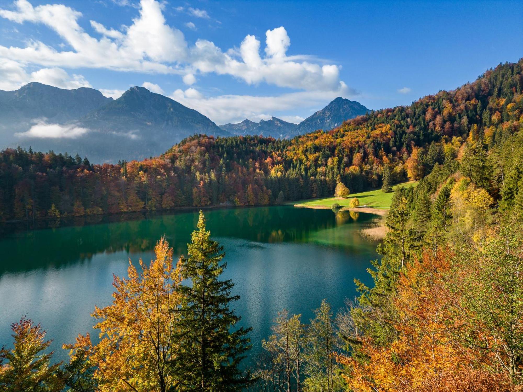 Hotel Ruchti's Hotel&restaurant 3*